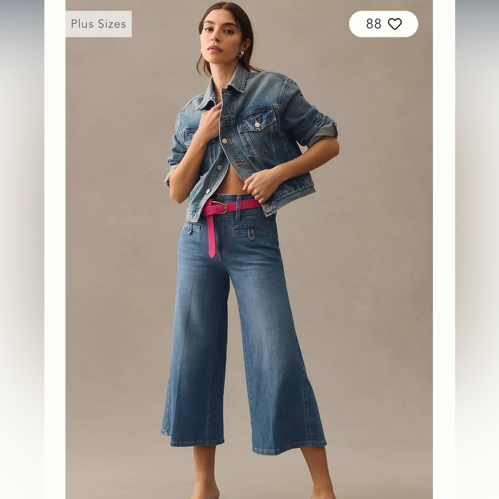 Pilcro Wide Leg Crop Jeans High Rise Blue Trouser Denim Size 29 Quiet Luxury